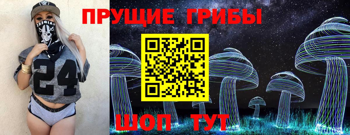 Благовещенск  как найти   Вход с VPN  Галлюциногенные грибы мицелий  Псилоцибиновые грибы Psilocybine cubensis 