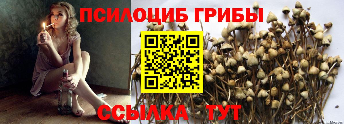 Галлюциногенные грибы GOLDEN TEACHER Благовещенск